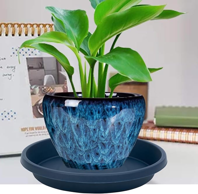 NIMYAU Plant Saucer 12 Inch Round Pack of 2 Heavy Duty Plastic Reusable Drip Trays for Flower Pots