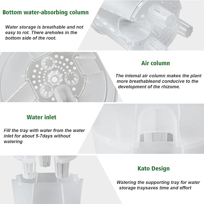 Cdd's Path Large Naked Root Planter Self Watering Pots Set with Holes for Indoor/Outdoor Plants, Planter Pot with Watering Hole/Reservior and Air Pipes (Clear, 8 inch-5 Pack)