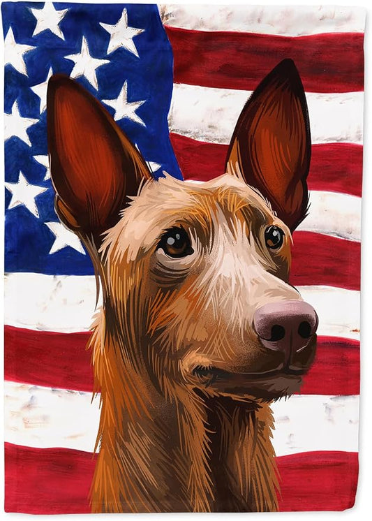Caroline's Treasures CK6643CHF Pharaoh Hound Dog American Flag House Flag Large Porch Sleeve Pole Decorative Outside Yard Banner Artwork Wall Hanging, Polyester, House Size, Multicolor