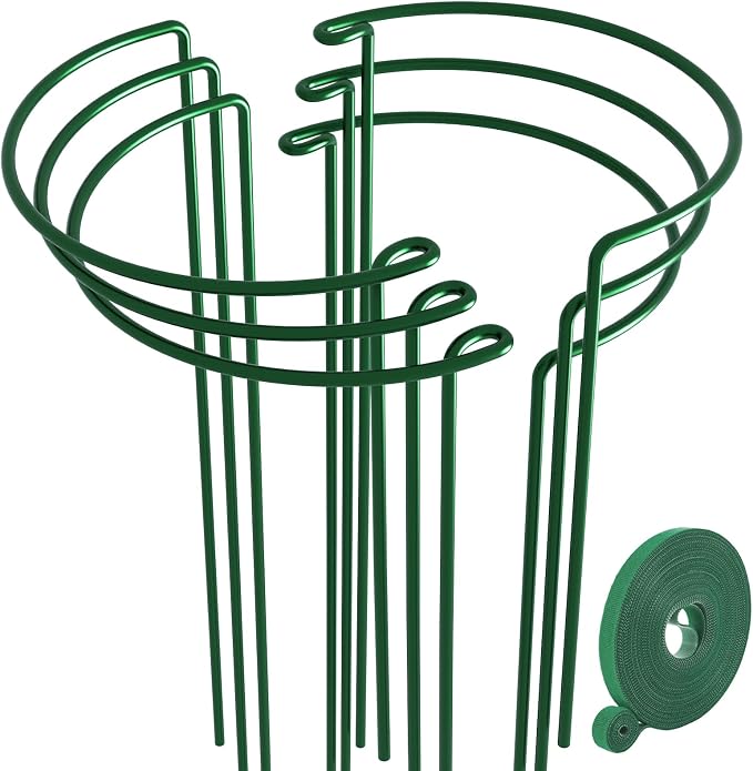 AMAGABELI 6 Pack 24 Inch Plant Support Stakes Peony Cage Heavy Duty Ring Metal Garden Support Structures Plant Cage with Ties for Indoor Flower Outdoor Tomato Hydrangea Monstera