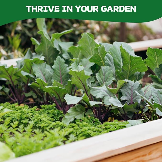 Groundio 40,000+ Heirloom Seeds Kit, 37 Vegetable Seeds Individual Pack - Non GMO for Planting Vegetables, Fruit and Herbs, Outdoor Garden Seeds for Indoor & Outdoor Garden Planting