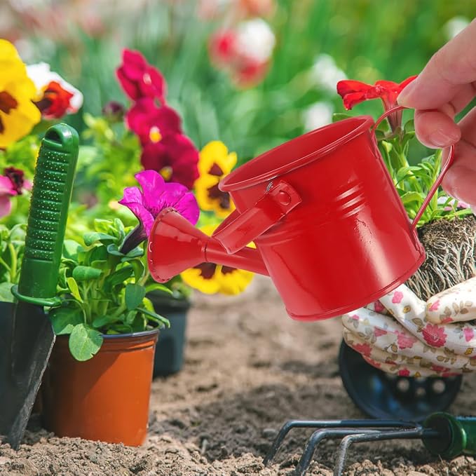 Cabilock 6-Pack Small Watering Cans for Indoor Plants Lightweight Plastic Watering Pots with Easy Grip Ideal for Succulents and Air Plants Gardening 5.90 Inch