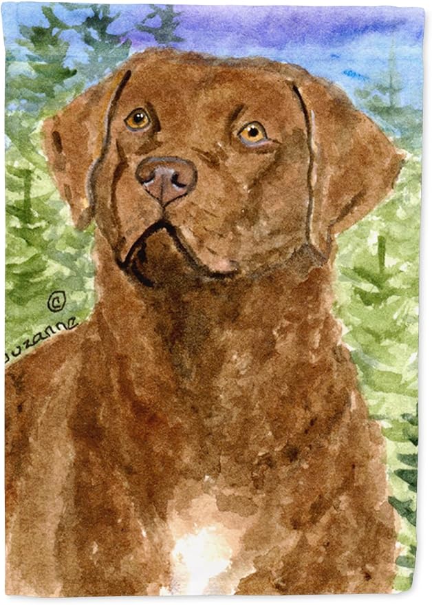 Caroline's Treasures SS8933GF Chesapeake Bay Retriever Garden Flag Mailbox Flag Decorative Yard Flag Banner Outside Patio Artwork Yard Flower Beds, Garden Size, Multicolor