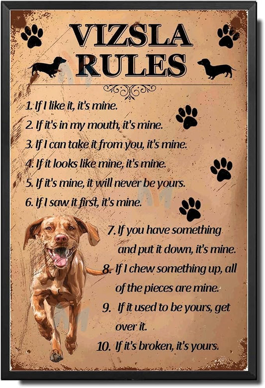 Metal Sign Tin Sign Vintage Wall Art Vizsla Rules Kitty Decor for Pub 12×16 Inches with Metal Frame