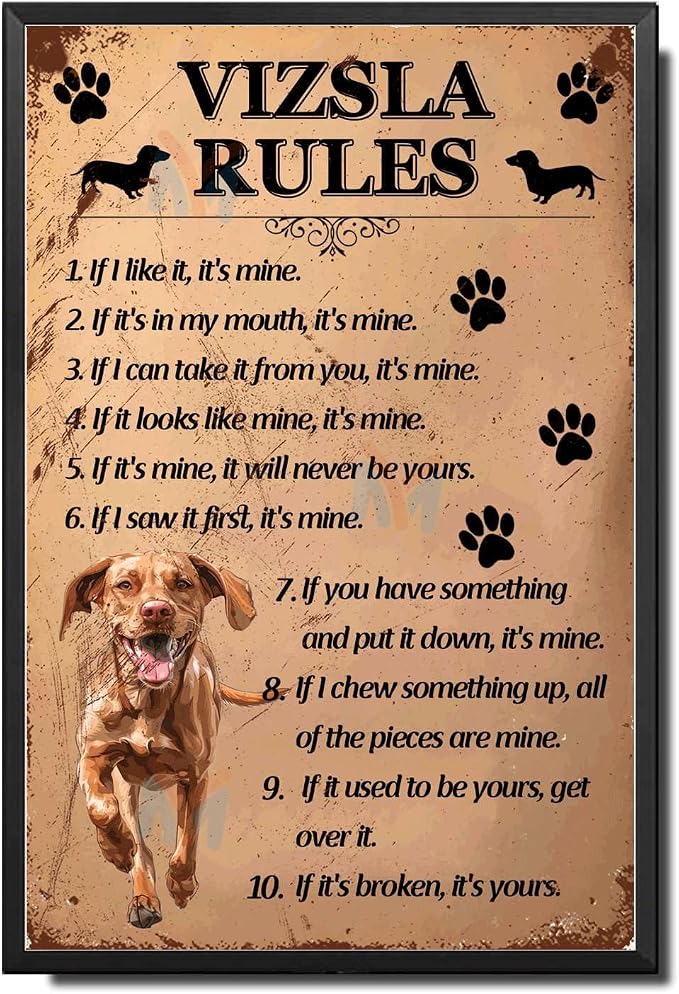 Metal Sign Tin Sign Vintage Wall Art Vizsla Rules Home Decor for Club 8×12 Inches with Metal Frame