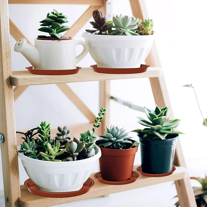 VUWEZ 6 Pack of Plant Saucer 8 Inch, 8 inch Plant Saucer Round, Plastic Flower Plant Trays for Pots, Plant Saucers for Indoors 8", Plant Pot Saucers, Planter Tray for Planter 6-8" (8", Terracotta)