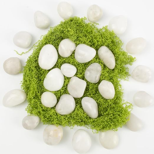 Natural White River Pebbles - LOOIOOJ 20 Lbs Polished Decorative Rocks, 0.5-1 inch, for Aquariums, Gardens, and Indoor Plant Drainage (White, Weight: 20 LB)
