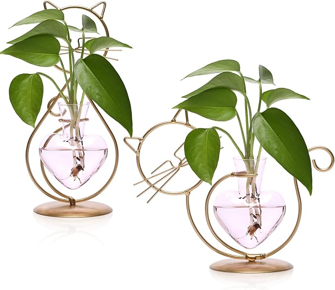 Plant Terrarium Plant Propagation Station Cat Lover Gifts for Women | Plant Lovers Home Office Decor Cat Desk Accessories