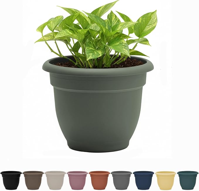 Bloem Ariana 6" Basil Round Self Watering Planter Pot - Rolled Rim Plastic Resin Indoor or Outdoor Gardening Planter with Drainage Holes, Made in USA