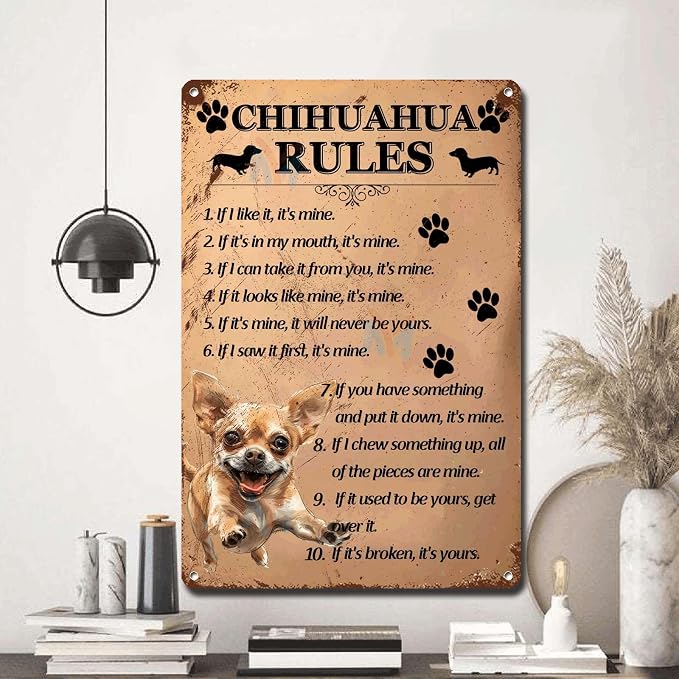 Metal Sign Tin Sign Vintage Wall Art Chihuahu Rules Metal Garden Signs for Pub 8×12 Inches