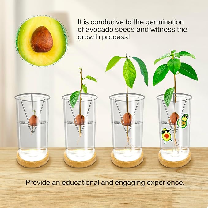 Avocado Seed Starter Vase - Avocado Tree Growing Kit with Base and Sticker, Glass Avocado Pit Sprouting Plant Pot Gift for Women, Gardening Lovers Home Office Table Decoration, Indoor No Seed