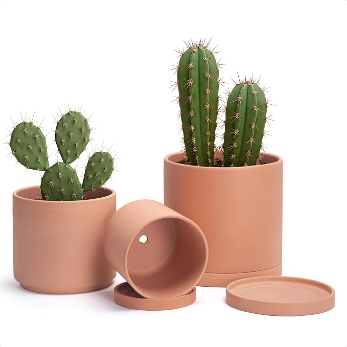 D'vine Dev Terracotta Pots for Plants, 6.5 Inch 8.3 Inch 9.5 Inch, Round Cylinder Planter Pot with Drainage and Saucer, 40-T-C-0