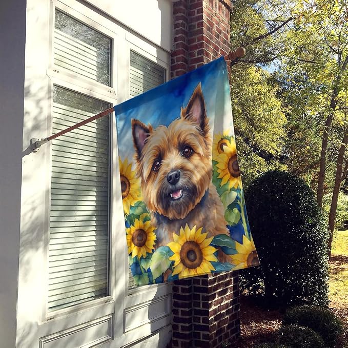 Caroline's Treasures DAC6044CHF Cairn Terrier in Sunflowers House Flag Large Porch Sleeve Pole Decorative Outside Yard Banner Artwork Wall Hanging, Polyester, House Size, Multicolor
