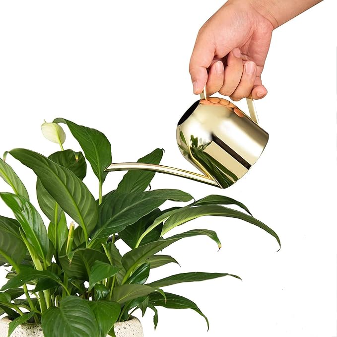 IMEEA 15oz Mini Indoor Watering Can for Small Plants Stainless Steel Watering Can with Long Spout for Desk, Windowsill & Bonsai (Gold)