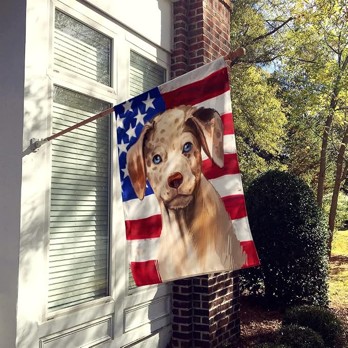 Caroline's Treasures CK6479CHF Catahoula Leopard Dog American Flag House Flag Large Porch Sleeve Pole Decorative Outside Yard Banner Artwork Wall Hanging, Polyester, House Size, Multicolor
