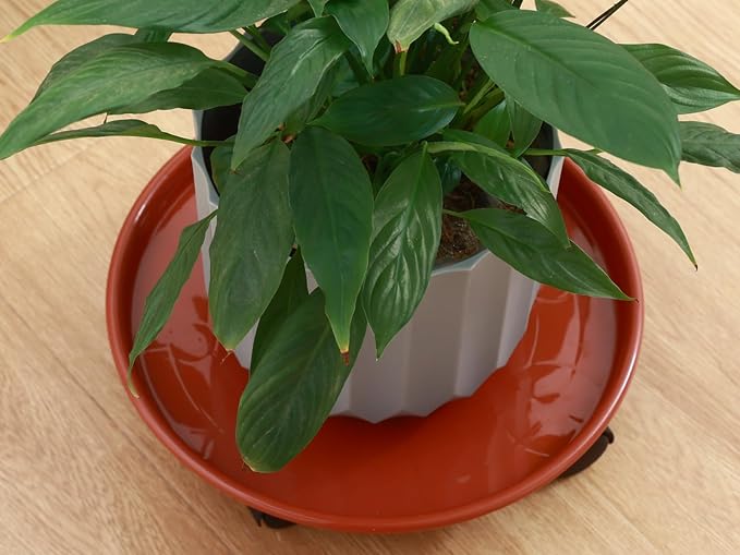 4 Packs Plant Caddy with Wheels 11.8" Plastic Rolling Plant Stands Heavy-Duty Plant Dolly with Casters Indoor Outdoor Wheeled Plant Roller Base Large Planter Saucers Plant Mover