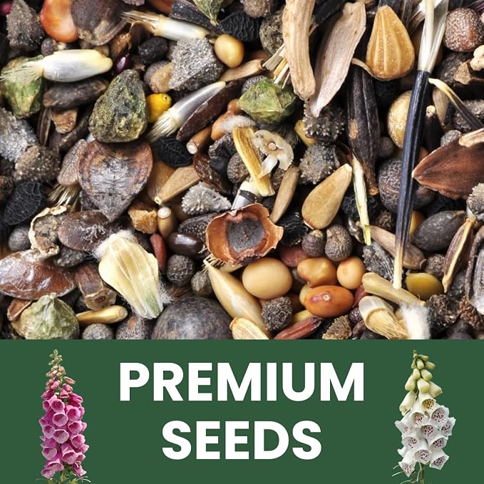Foxglove Mixed Colors – 10,000 Seeds for Planting – 2026 Season – 2 Ounce Pouch