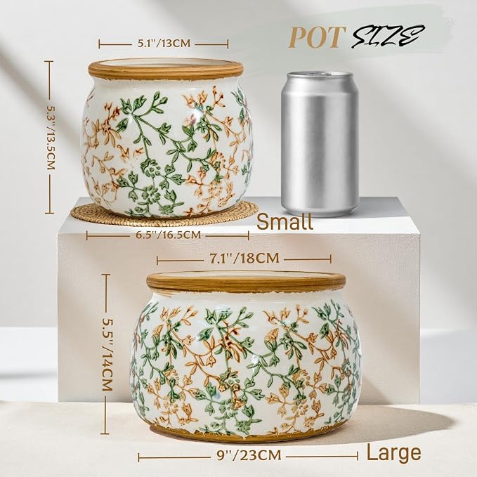 Vintage Ceramic Flower Pot - Indoor Outdoor Planters with Drainage Holes & Filter Screen, 6.5’’ Small Rustic Farmhouse Decorative Plant Pots for Garden/Patio/Balcony (Bicolor Vines, Small)