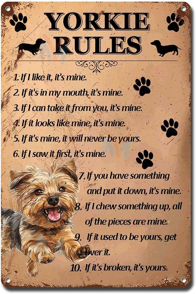 Metal Sign Tin Sign Vintage Wall Art Yorkie Rules Sign for Garden for Club 8×12 Inches