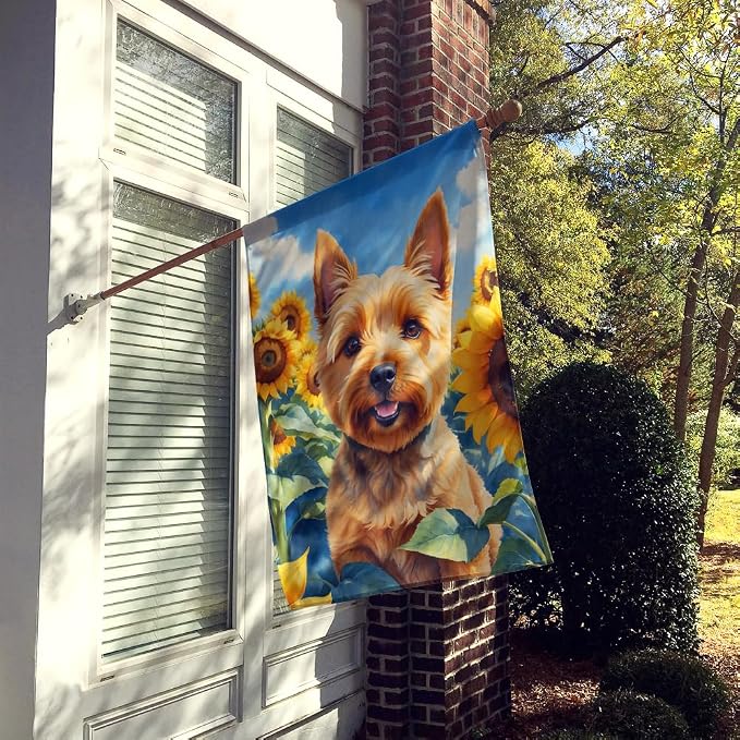 Caroline's Treasures DAC6127CHF Norwich Terrier in Sunflowers House Flag Large Porch Sleeve Pole Decorative Outside Yard Banner Artwork Wall Hanging, Polyester, House Size, Multicolor