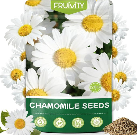 2300+ German Chamomile Seed Pack, Perennial Seeds for Planting, Herb Seed to Plant, Easy to Grow, High Germination, for Home Garden Indoor Outdoor