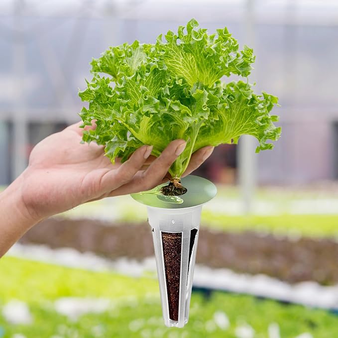 160PCS Hydroponics Growing Baskets,Plant Seed Pod Kit,Grow Anything Kit,Indoor Garden System Accessories Includes 50pcs Sponges,50pcs Labels,30pcs Replacement Baskets,30pcs Domes