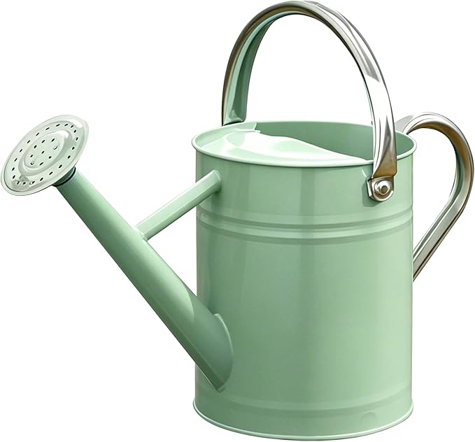 Metal Watering Can for Outdoor and Indoor Plants, Watering Can Decor, 1 Gallon (Cream Green)