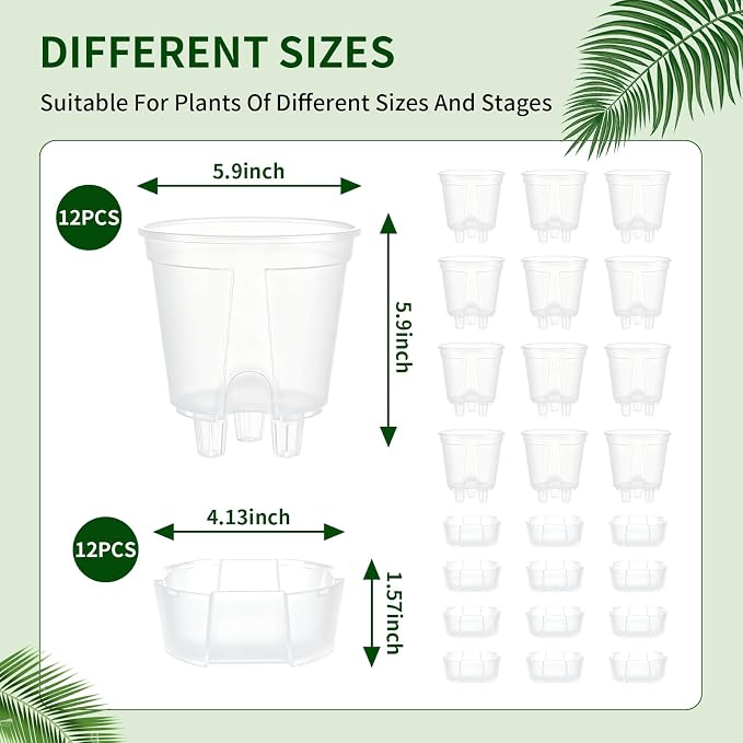 Cdd's Path 6 Inch Clear Self Watering Pots Set, 12 Pack Naked Root Planter with Deep Water Tank, Large Drainage Holes, Reservoir & Air Pipes for Indoor Outdoor Plants, Flowers, Seedlings