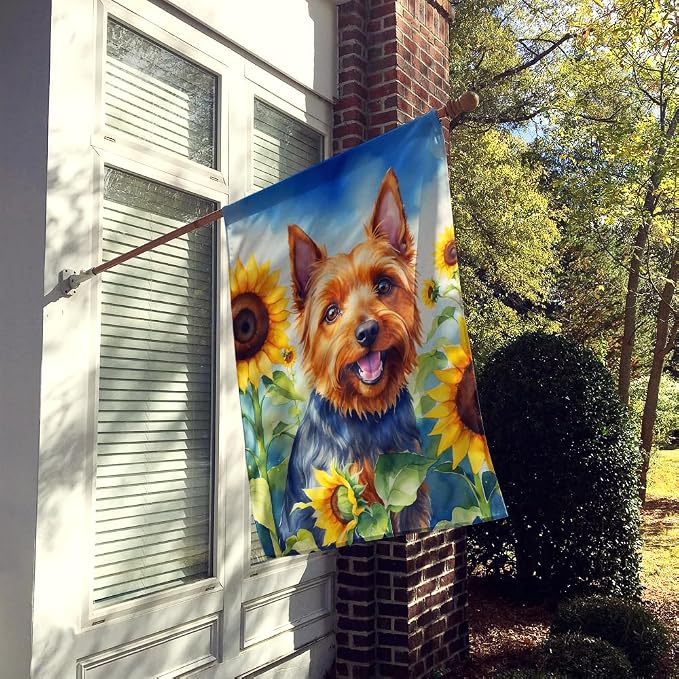 Caroline's Treasures DAC6015CHF Australian Terrier in Sunflowers House Flag Large Porch Sleeve Pole Decorative Outside Yard Banner Artwork Wall Hanging, Polyester, House Size, Multicolor