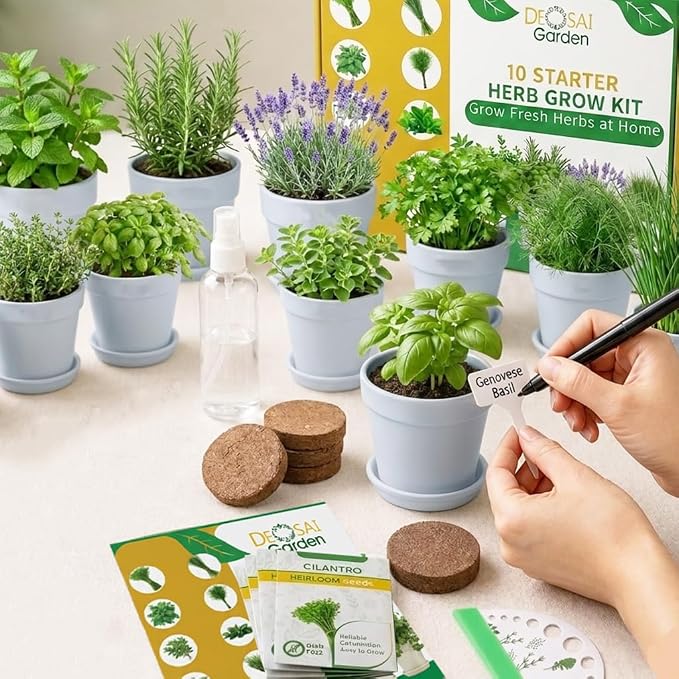 47 PCS Herb Garden Seeds Starter Kit, 10 Non-GMO Culinary Herb Seeds with White Pots & Planters for Windowsill, Herb Growing Kit Indoor & Outdoor, Unique Herb Garden Gift Set for Gardening Lovers