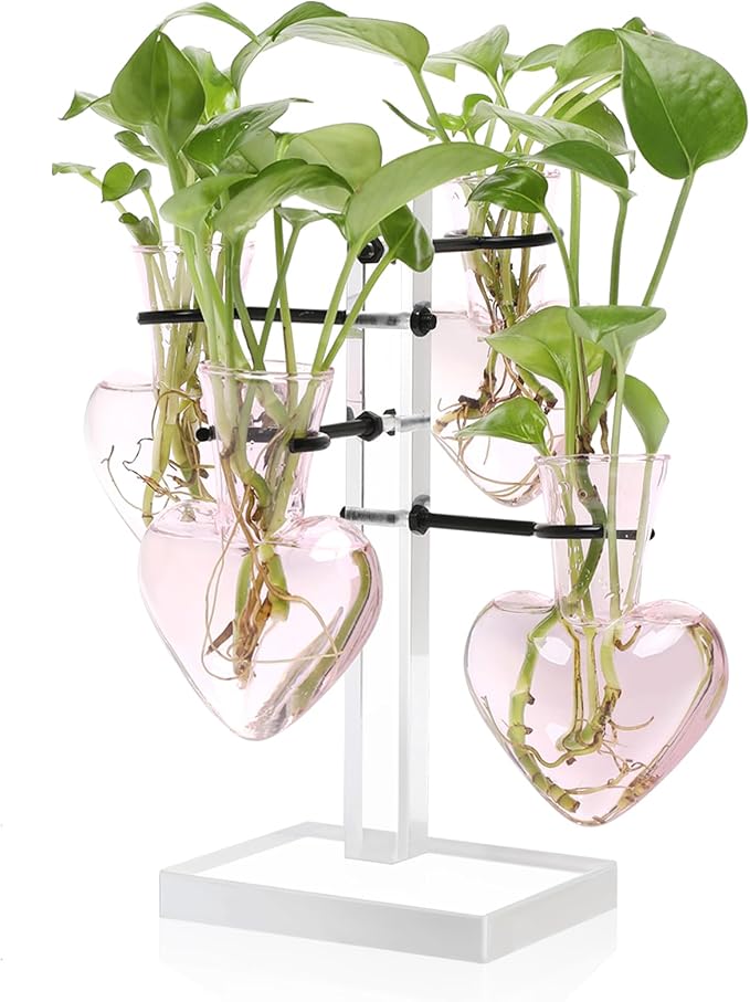 Plants Propagation Stations Plant Terrarium Kit Gift for Women | Birthday Glass Planters For Indoor Plants Home Office Decor Acrylic Plant Accessories - 4 Love Hear Vase