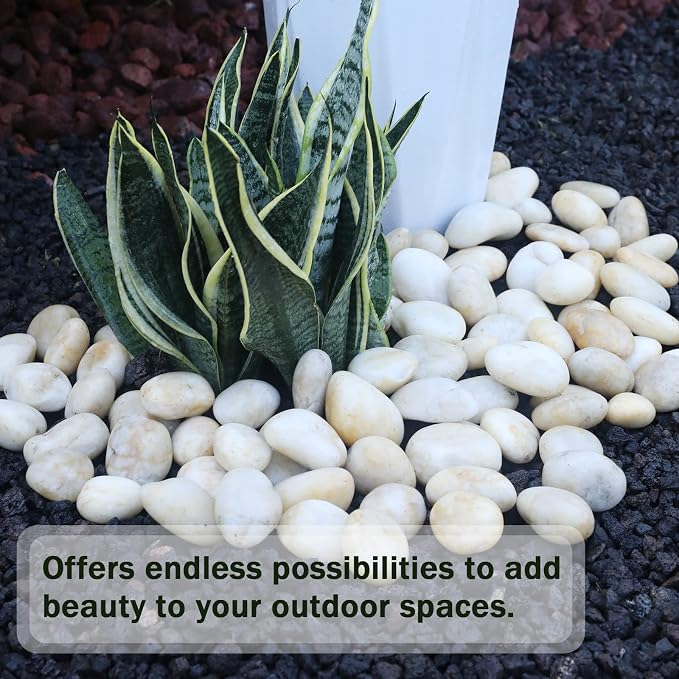 20LB Smooth Pebbles River Rocks, 100% Natural Hand-Picked Premium Decorative Pebbles, Ideal for Garden Landscaping, Home Decor, Aquariums, Painting, Crafting and Gifts, Cream White