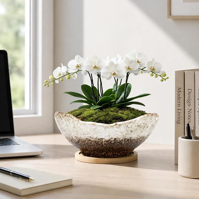 ARTKETTY Bonsai Pots - 9.06 Inch Large Plant Pots, Unique Succulent Pots with Drainage Tray, Ceramic Planters for Indoor Cactus Flower Plants Round Bonsai Tree Pots Decorative Home Office