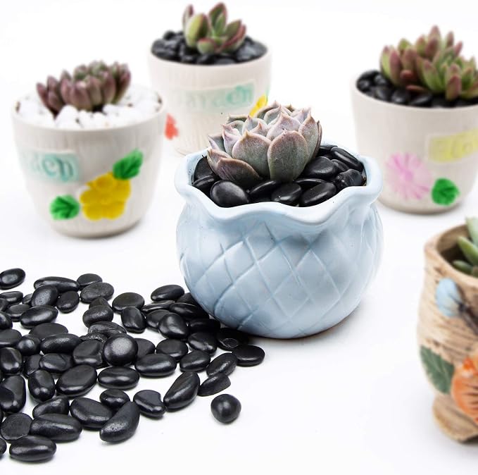Black Small Pebbles - Decorative Gravel Rock Plant Stones,3/8" Natural Polished Stones Succulent Gravel,Pebbles Gravel for Bamboo Plants,Succulent,Home Decor,Landscaping,Vase Fillers.
