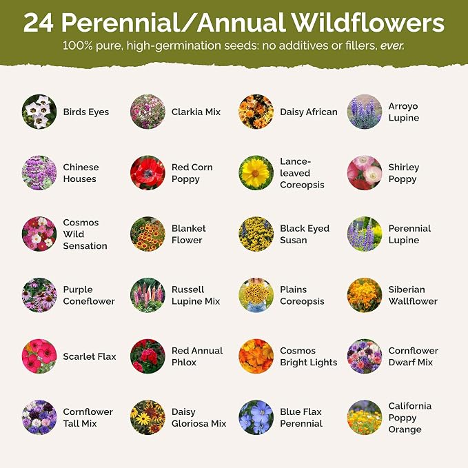 Eden Brothers Texas Wildflower Mixed Seeds for Planting, 1/4 lb, 120,000+ Seeds with Cornflower, Birds Eyes, African Daisy, Attracts Pollinators, Plant in Spring or Fall, Zones 3, 4, 5, 6, 7, 8, 9, 10