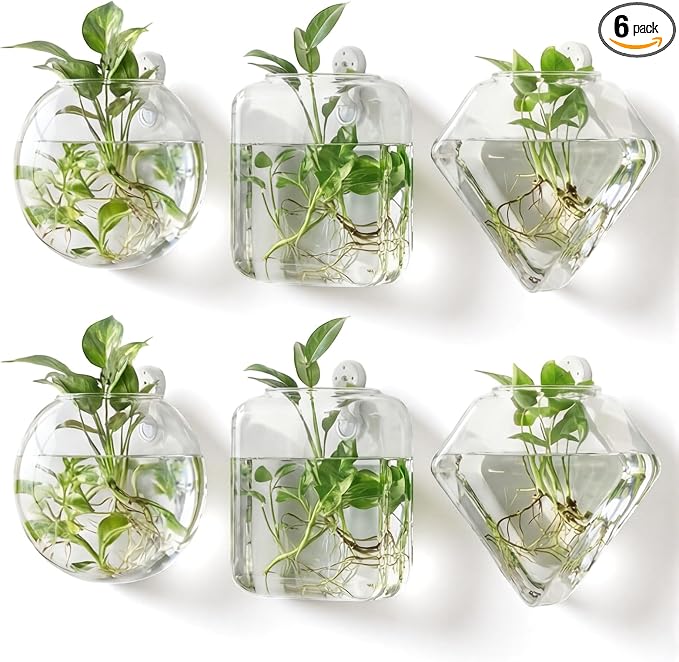 LemonRoad 6 Pcs Wall Hanging Glass Wall Hanging Planter Propagation Station Terrariums Clear Glass Vase Container for Hydroponic Plant Home Office Living Room Bathroom Garden Decor