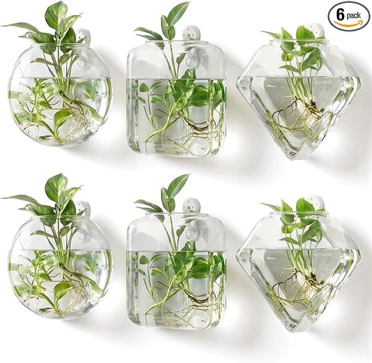 LemonRoad 6 Pcs Wall Hanging Glass Wall Hanging Planter Propagation Station Terrariums Clear Glass Vase Container for Hydroponic Plant Home Office Living Room Bathroom Garden Decor