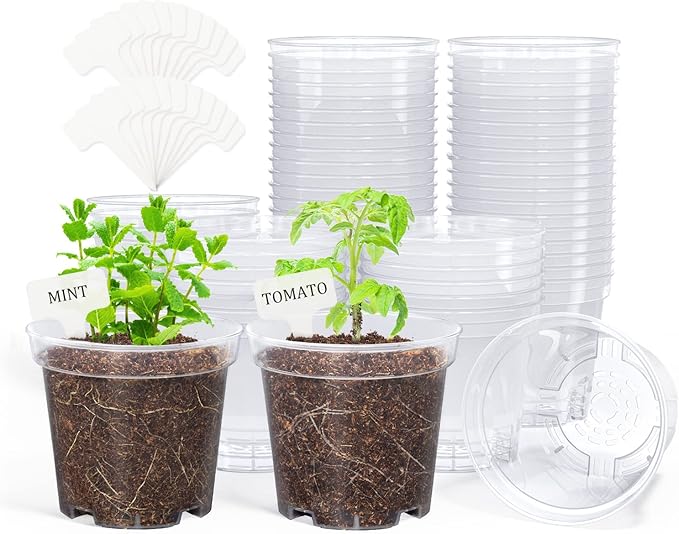 homenote Clear Nursery Pots for Plants,4 Inch Plant Pot for Planting Plastic Seedling with Drainage Holes Seed Starter Flower High Transparency with 20 Labels (60 Pack)
