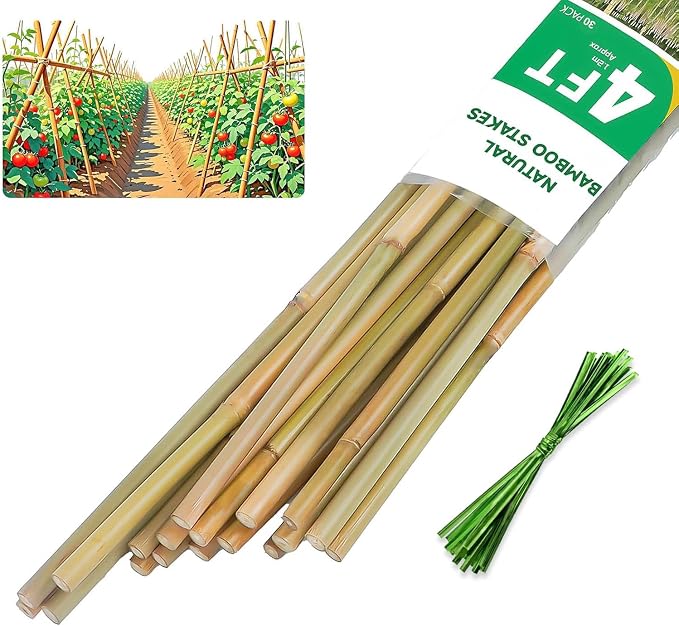 Natural Bamboo Plant Stake, （4FT 30Pcs） Sturdy Bamboo Poles, Durable Plant Bamboo Stake, Garden Climbing Plant Bracket.