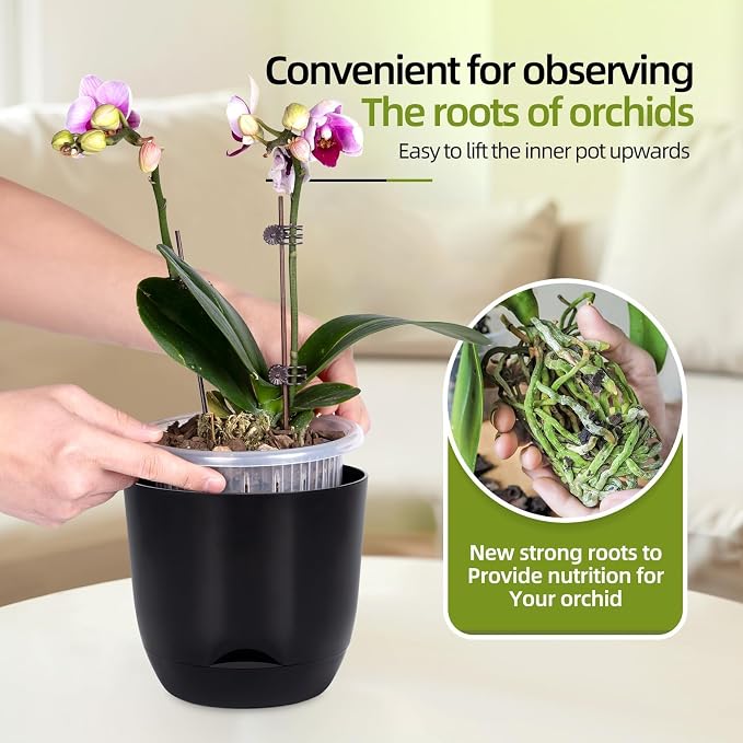 QCQHDU 7.2Inch Orchid Pots with Holes for Repotting, Double-Layer Plastic Self Watering Flower Pots for Indoor Plants with Drainage Holes, Clear Orchid Pot Match Decorative Orchid Container, 3 Packs