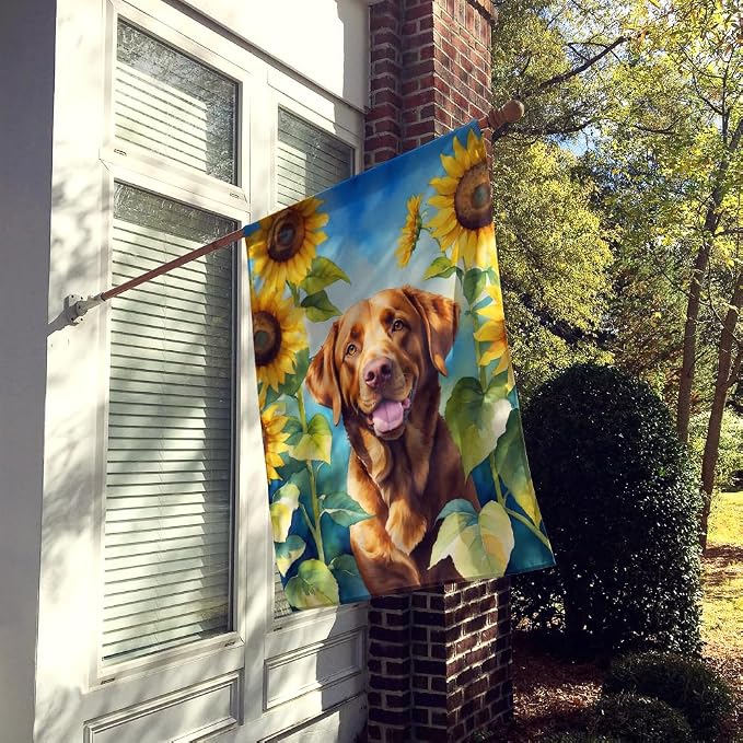 Caroline's Treasures DAC6050CHF Chesapeake Bay Retriever in Sunflowers House Flag Large Porch Sleeve Pole Decorative Outside Yard Banner Artwork Wall Hanging, Polyester, House Size, Multicolor