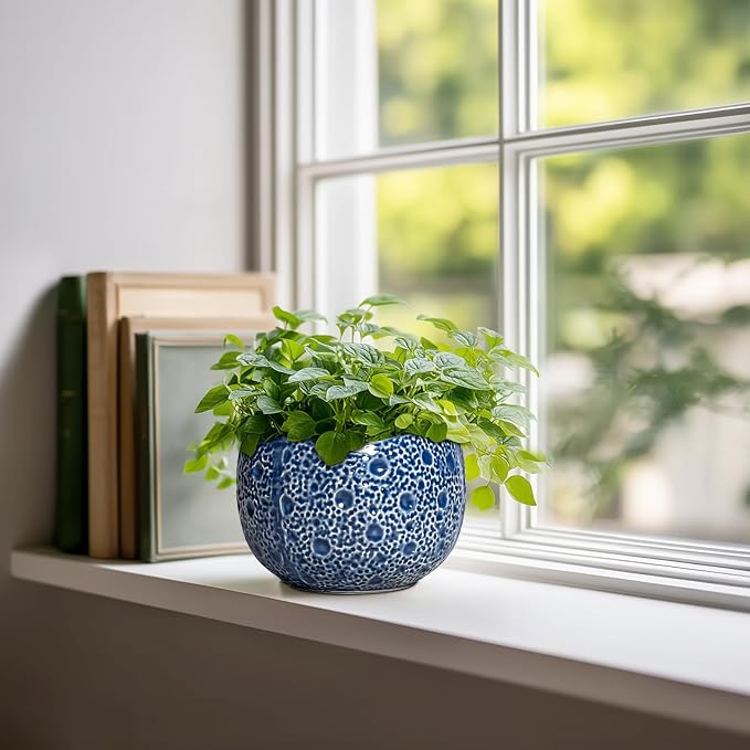 Orchid Pot - 6 Inch Ceramic Plant Pot for Indoor Outdoor, Round Unique Planters with Drainage Hole, Modern Round Decorative Flower Pots, Home Decor, Gifts for Plant Lovers, Blue