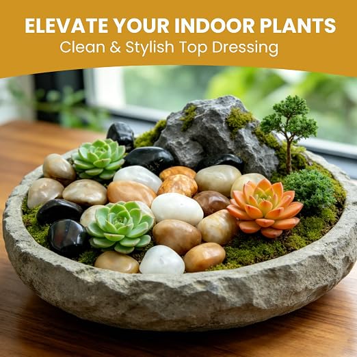 1-2 Inch Mixed Color River Rocks, 12LB Polished Natural Decorative Pebbles for Indoor Plants, Planters, Vase Fillers, Fish Tank Rocks, Aquarium Decor, Garden Landscaping & Outdoor DIY