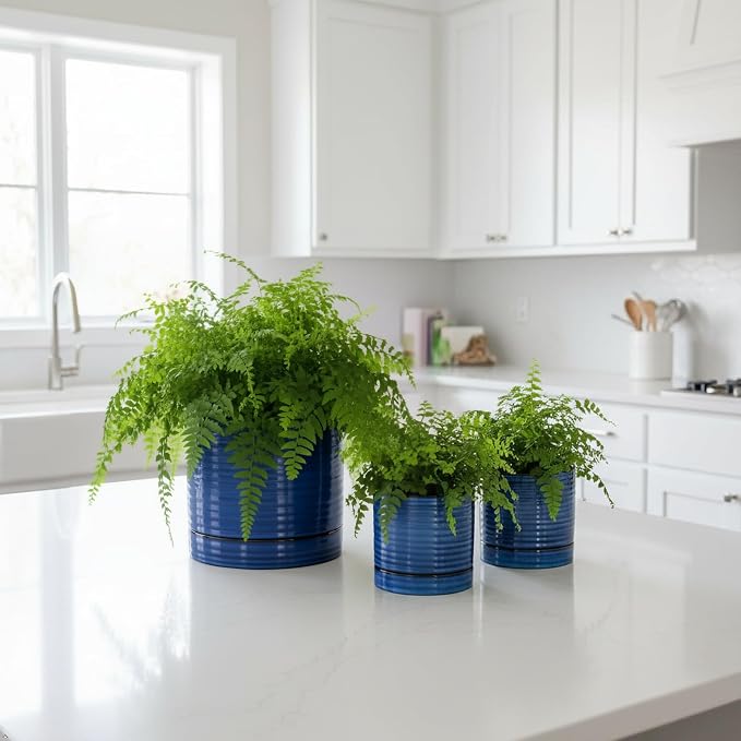 HASENSE Ceramic Pot for Indoor Plant, 8+6+4.6 Inch Planter with Drainage Holes and Saucer, Reactive Glaze Blue Flower Pots for Home Office Decor, Set of 3
