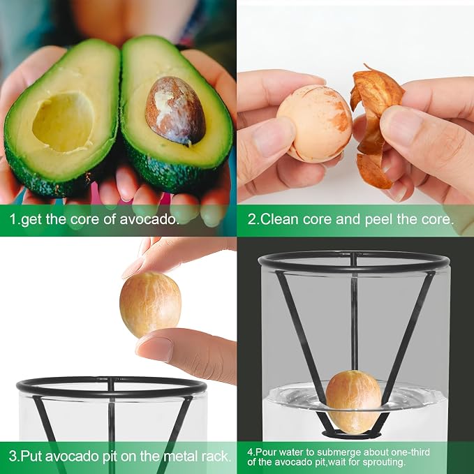 Avocado Tree Growing Kit with Bottle Brush Avocado Figurine, Bamboo Base, Avocado Seed Starter Vase Glass Plant Pot Easy Seed Sprout Starter Gift for Gardening Lovers Home Office Table Decoration