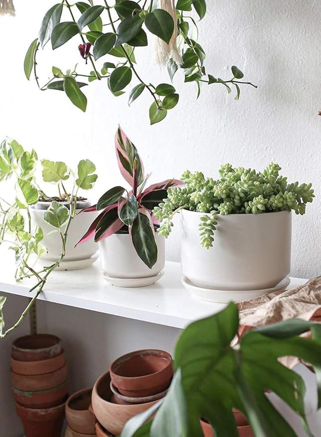 LE TAUCI Ceramic Pots for Plants, 4.3+5.3+6.8 Inch Plant Pots, Indoor Planters with Drainage Hole and Saucer for Succulents, Herbs and Flowers, Set of 3, Satin, White