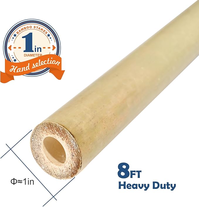 COLOtime 8FT Bamboo Stakes Plant Stakes 1 Inch Thick Diameter Garden Stakes Heavy Duty for Plant Support Outdoor Climbing Plants Support Gardening Stakes 10 Pack