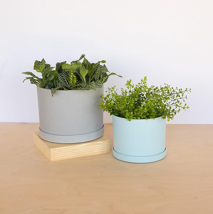 Bloem Mathers Planter w/Saucer Tray 6" Misty Blue