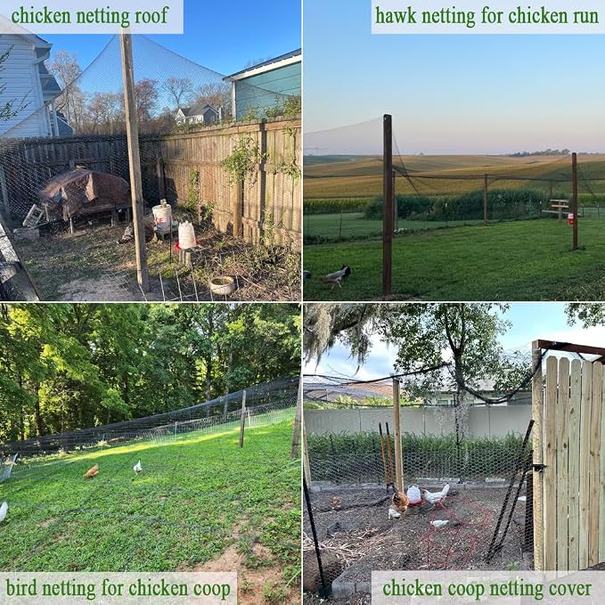 Bird Netting for Chicken Coop 30x30Ft, 1/2" Mesh, Strong Woven Poultry Netting Roof Cover for Chicken Run, Heavy Duty Bird Net for Fruit Trees, Blueberry, Vegetables, Garden Protection