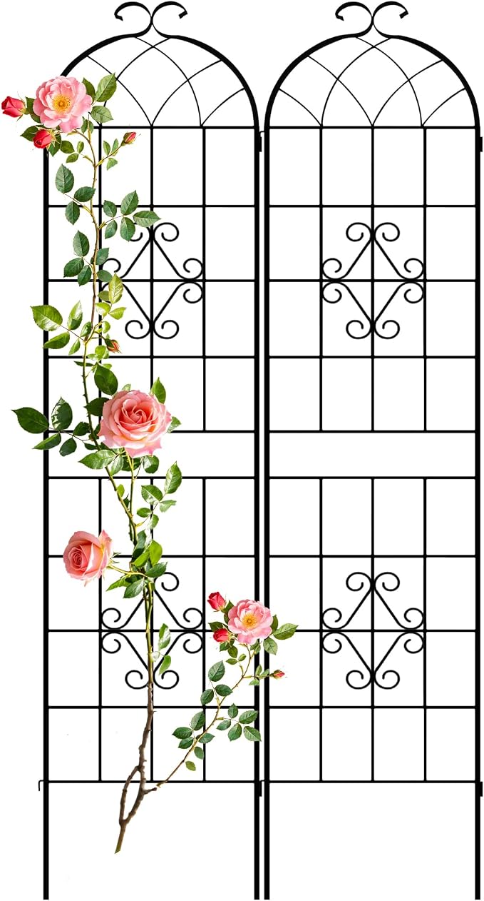 LZRS 2 Pack 78.7x20in Rustic Iron Arch Decoration Garden Trellis with Black Metal Coating – Perfect for Supporting Climbing Plants Outdoor, Roses, Vines, Flowers, and Vegetables.